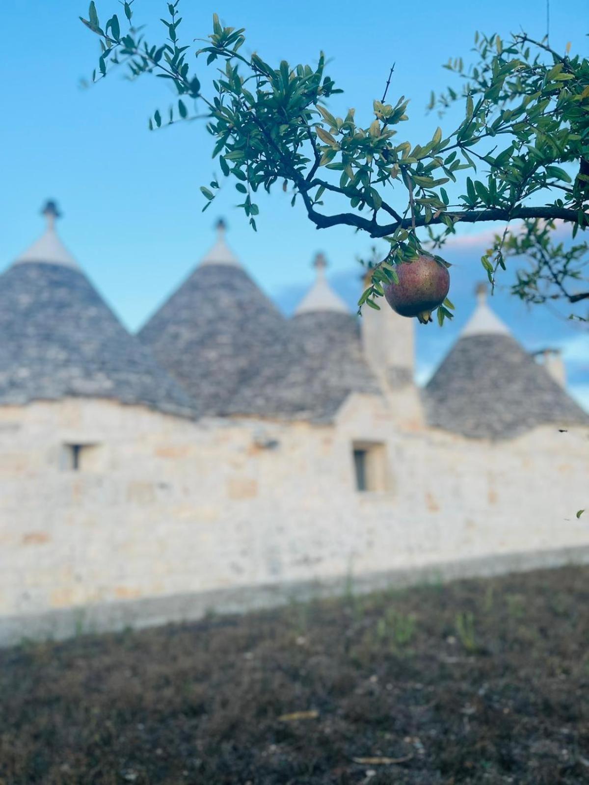 Scardino Trulli Otel Locorotondo Dış mekan fotoğraf